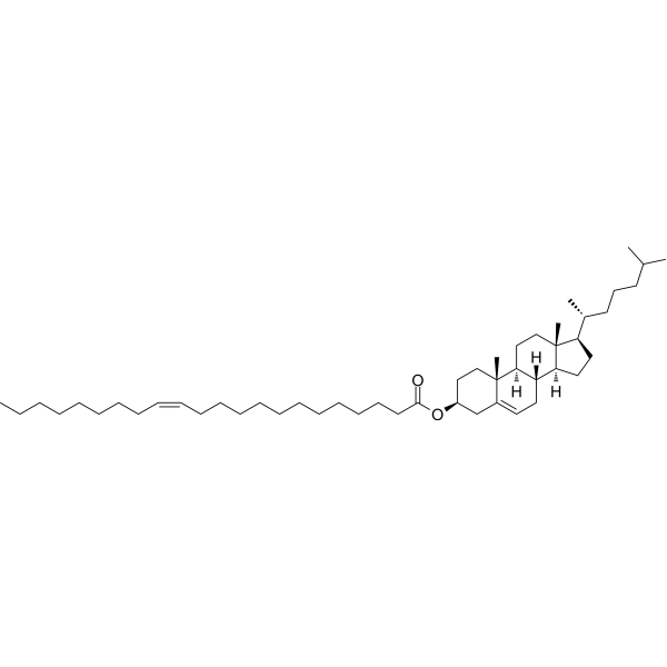 Cholesteryl erucate (cholesteryl erucate) 24516-39-0